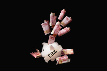 save money for ringi piggy bank