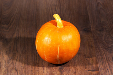 autumn harvest pumpkin on the table