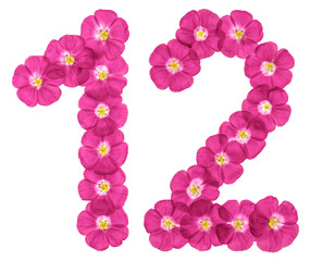 Arabic numeral 12, twelve, from pink flowers of flax, isolated on white background