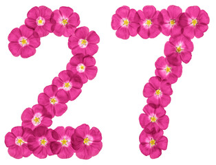 Arabic numeral 27, twenty seven, from pink flowers of flax, isolated on white background