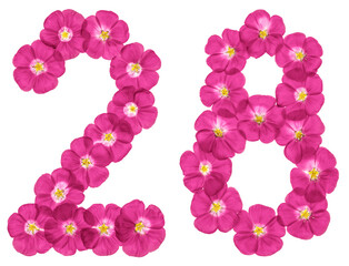 Arabic numeral 28, twenty eight, from pink flowers of flax, isolated on white background