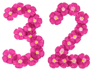 Arabic numeral 32, thirty two, from pink flowers of flax, isolated on white background