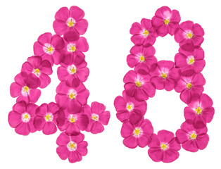 Arabic numeral 48, forty eight, from pink flowers of flax, isolated on white background