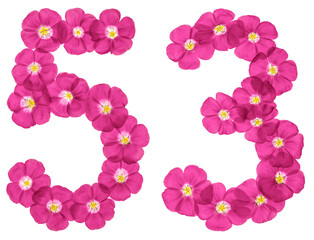 Arabic numeral 53, fifty three, from pink flowers of flax, isolated on white background