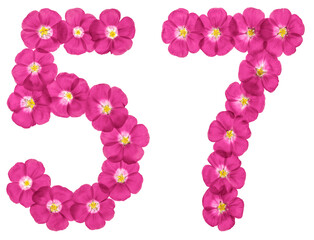 Arabic numeral 57, fifty seven, from pink flowers of flax, isolated on white background