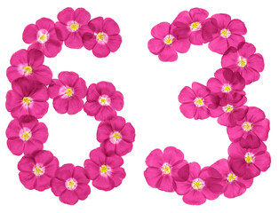 Naklejka premium Arabic numeral 63, sixty three, from pink flowers of flax, isolated on white background