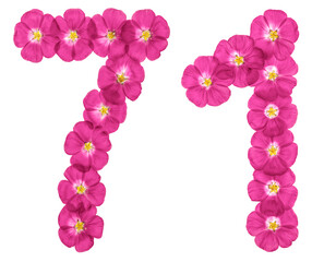 Arabic numeral 71, seventy one, from pink flowers of flax, isolated on white background