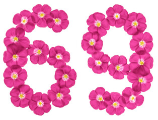 Fototapeta na wymiar Arabic numeral 69, sixty nine, from pink flowers of flax, isolated on white background