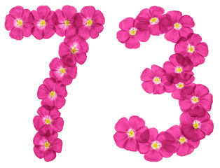 Arabic numeral 73, seventy three, from pink flowers of flax, isolated on white background