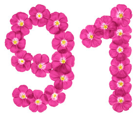 Arabic numeral 91, ninety one, from pink flowers of flax, isolated on white background