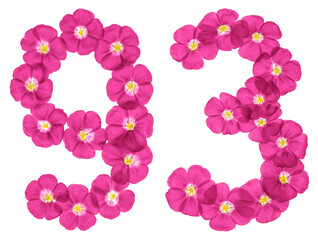 Arabic numeral 93, ninety three, from pink flowers of flax, isolated on white background