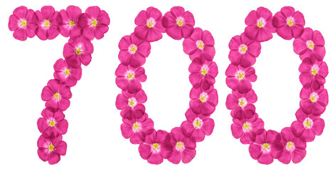 Arabic numeral 700, seven hundred, from pink flowers of flax, isolated on white background