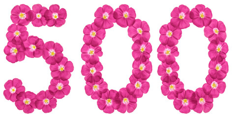 Arabic numeral 500, five hundred, from pink flowers of flax, isolated on white background