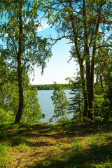 View of the Volga River from the forest in summer