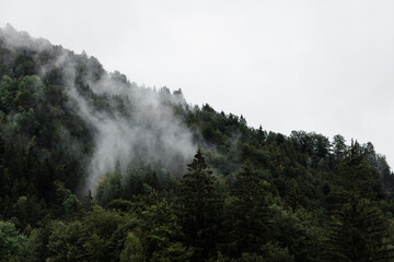 Fog in the mountains in early morning