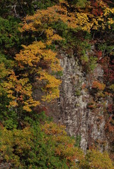 紅葉の山