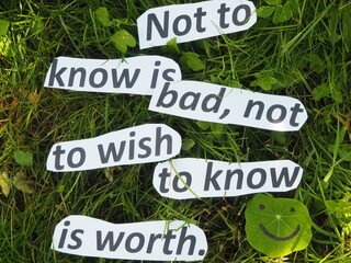 note to know is bad, not to wish to know is worth. inscription on the grass made of cut paper...