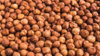 texture a lot of hazelnuts without shell
