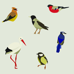 bird clip art set-hand drawn bird breeds-digital PNG vector-cute animals Pets-business clip art collection-stickers-living room clipart SVG