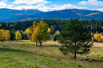 Beautiful landscape of the Czech Republic area of the Sumava National Park.