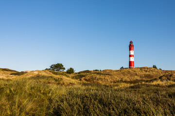 Fototapeta na wymiar Leuchtturm Amrum, Insel Amrum, Nordsee, Nordfriesland, Schleswig-Holstein, Deutschland
