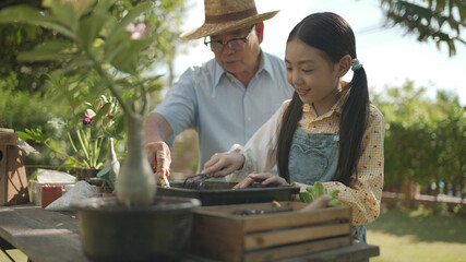 Asian grandpa with child girl planting young tree in the black soil and watering