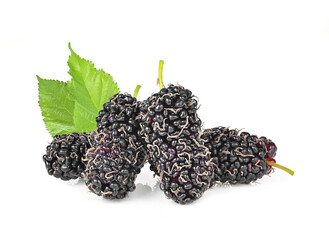 Three organic Mulberry fruits with green leaves isolated on white background