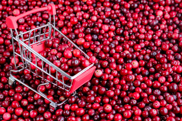 Shopping Trolley with ripe fresh cranberries as natural, food, berries, buying vitamins background....