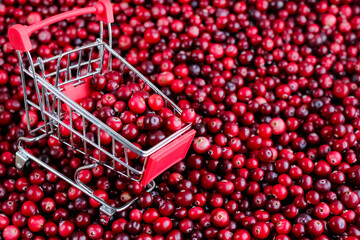 Shopping Trolley with ripe fresh cranberries as natural, food, berries, buying vitamins background. Selective focus.
