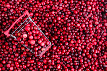 Shopping Trolley with ripe fresh cranberries as natural, food, berries, buying vitamins background. Selective focus.