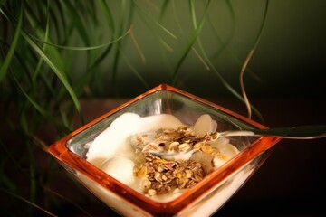 Breakfast cereal in bowl