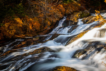 秋の竜頭の滝の上流