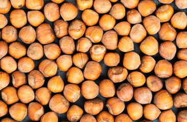 brown nuts with shelll background.