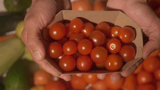 packing fresh red cherry tomatoes. ipe tomatoes in a cardboard container. Farmer packing fresh harvest vegetables for courier delivery food home. Delivery of food in quarantine. online shopping