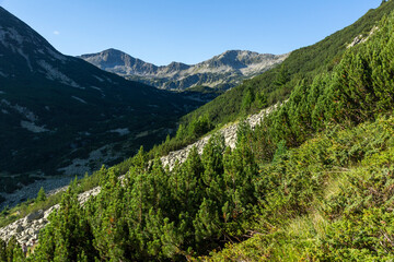 Fototapeta na wymiar Banderishki Chukar Peak, Pirin Mountain, Bulgaria
