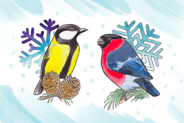 Hand drawn  illustration of bird on a branch. Winter watercolor motive. Christmas mood. Snowflakes. New year. tit and bullfinch. 