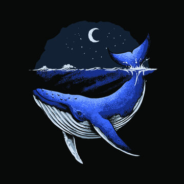 illustration of a blue whale