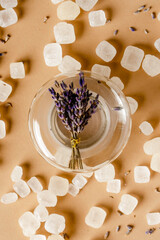Lumps of sugar lie on a beige background along with a glass lid with dried lavender