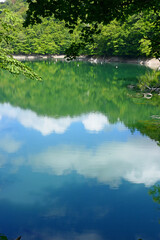 白神山地の名所、十二湖。深浦、青森、日本。9月中旬。