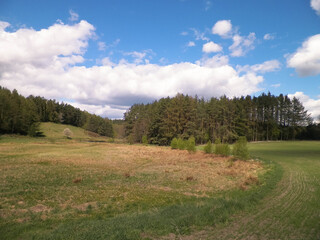 Hills, meadows and forest typical landscape of Kashubian Region, Poland.