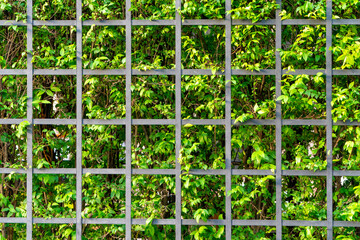 black Fence square with background of trees and leafs behind it