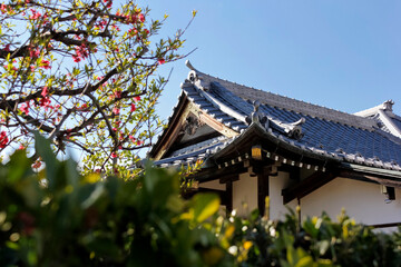 Fototapeta premium Japanese temple roof. Details of the roof and tree. Bright weather. April 2015.