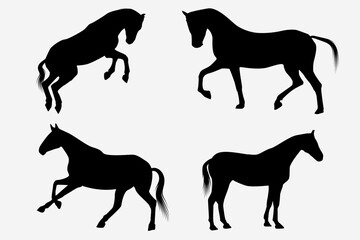 set of horse silhouette vector designs isolated on white background