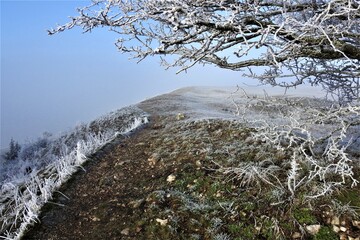 Frost