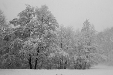 Schnee