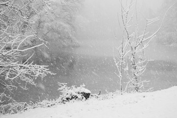 Schnee