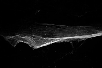 spiderweb on a dark background