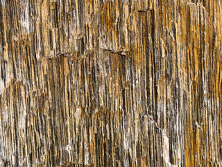 Texture of gneiss metamorphic rock