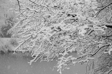 Schnee