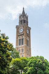 Clock tower of the University of Mumbai (University of Bombay),  one of the first state universities of India and the oldest in Maharashtra.